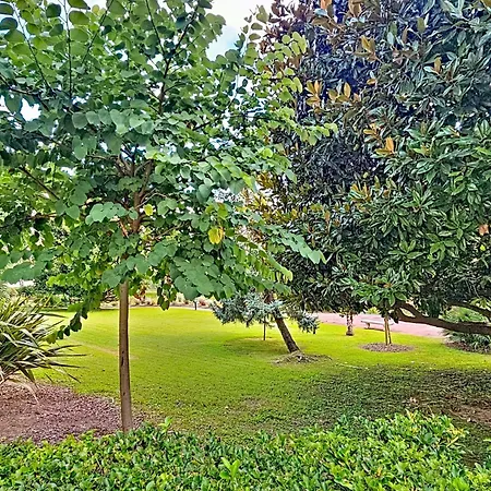 Henri Camille Agency - Gallia - Huge W Big Terrace Downtown *